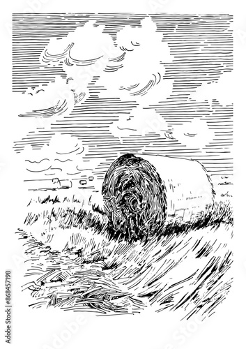 Autumn landscape. Collecting hay in the field. Linear hand sketch converted to vector drawing