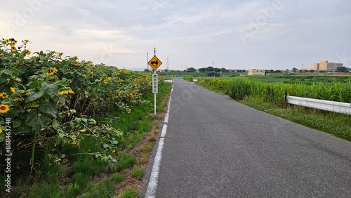 road in the countryside