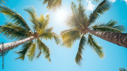 Wallpaper Mural Palm trees as seen from below on a blue sky Torontodigital.ca