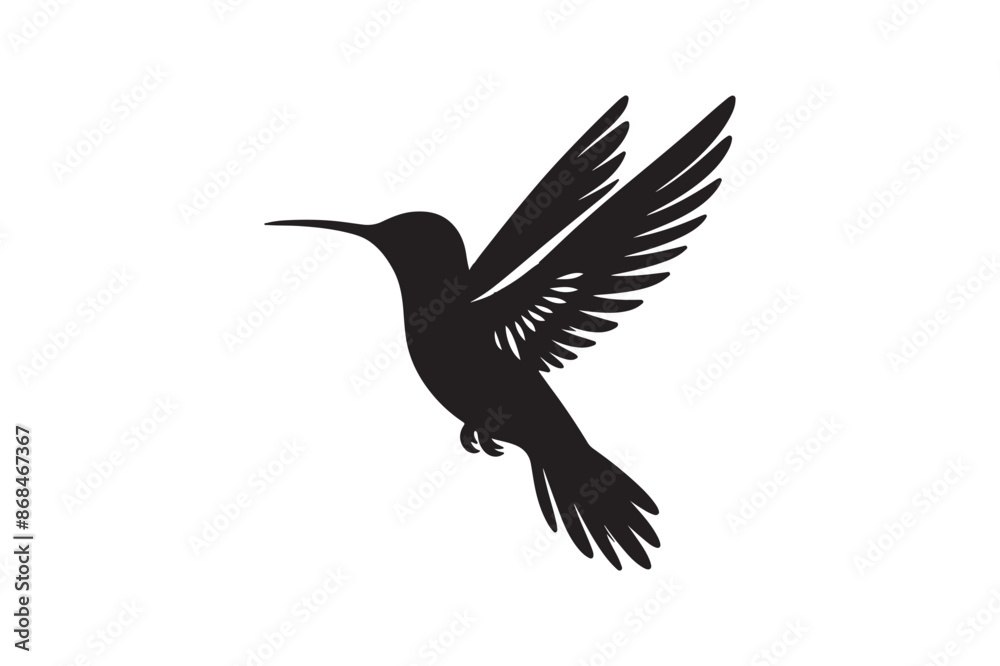 Fototapeta premium Hummingbird vector art illustration