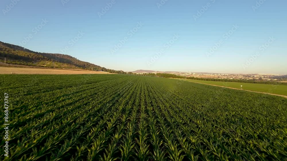 Aerial video over agricultural fields in Israel Aerial video over agricultural fields in Israel
