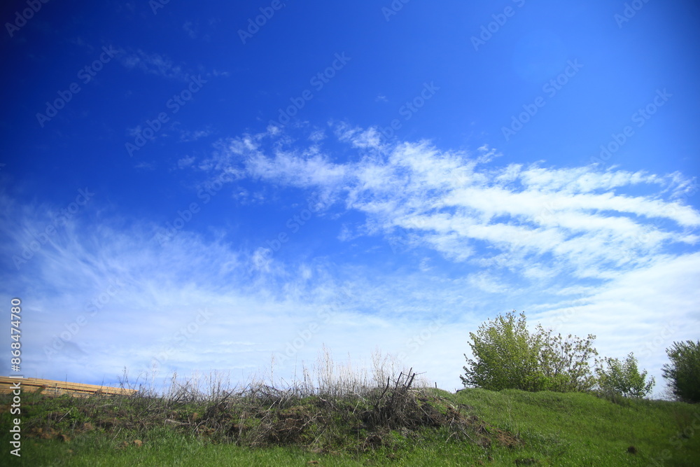 Obraz premium landscape with grass and sky