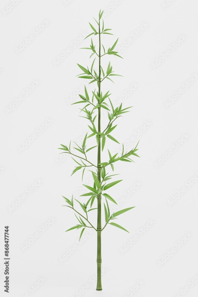 Fototapeta premium Realistic 3D Render of Bamboo Plant