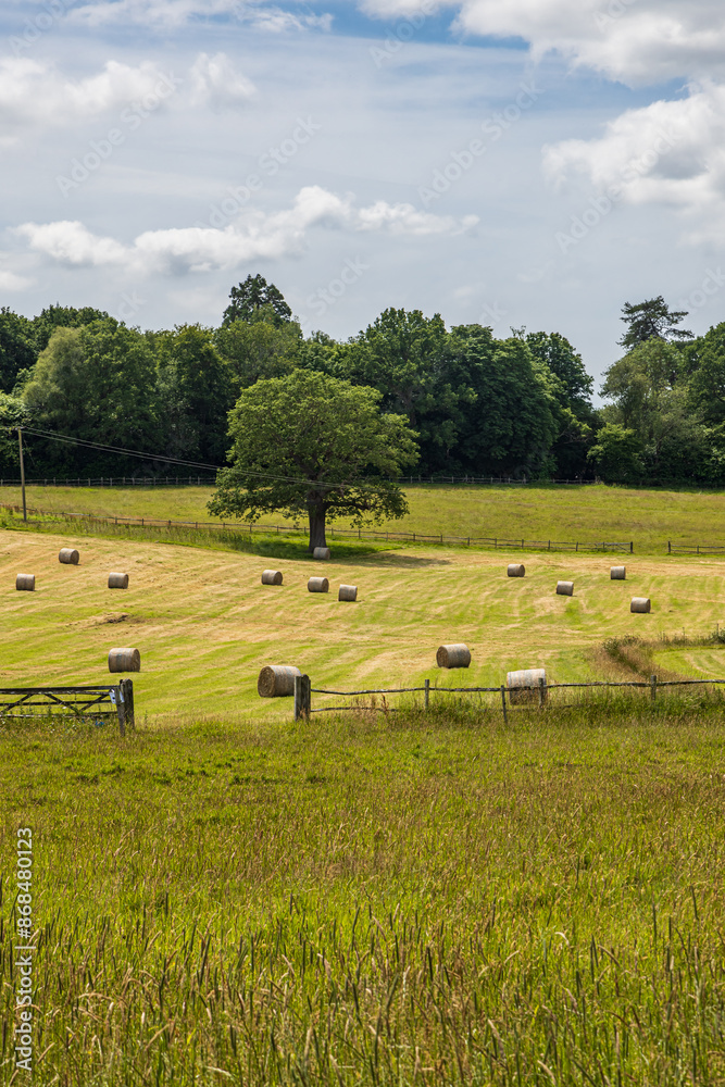 Obraz premium Hay bales in the Sussex countryside on a sunny summer's day