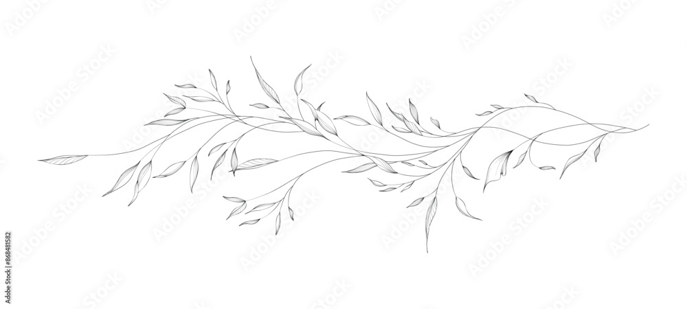 Botanical of long branches and leaves with hand drawn in line art Botanical of long branches and leaves with hand drawn in line art