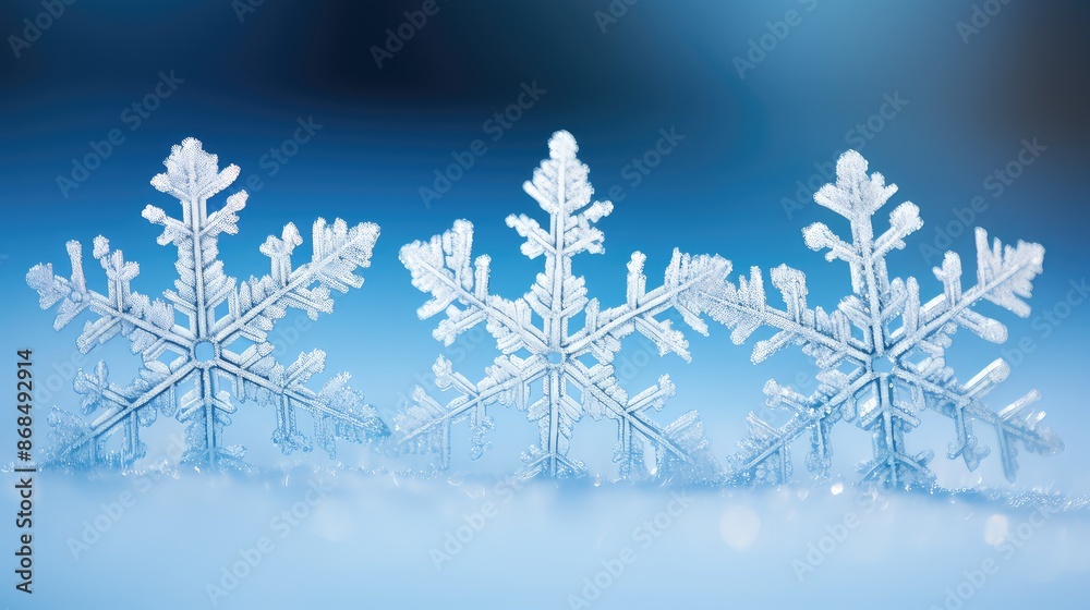 snowflakes Beautiful snowflakes Beautiful