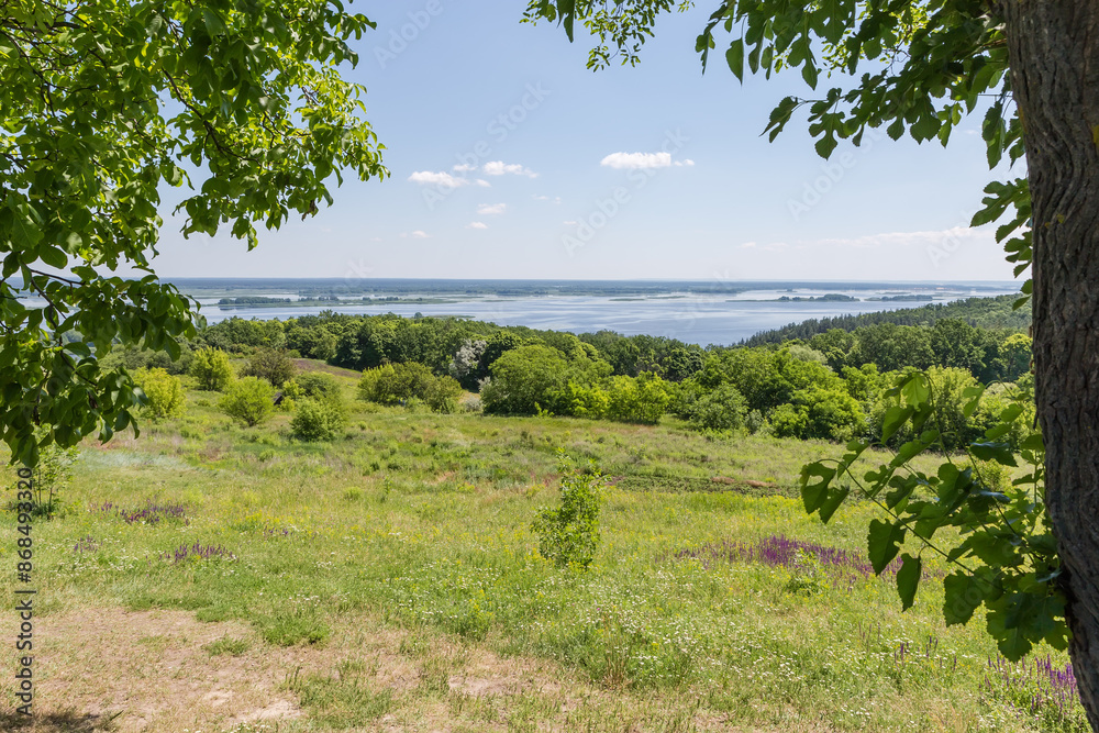 High sloping river bank with trees on foreground in summer High sloping river bank with trees on foreground in summer