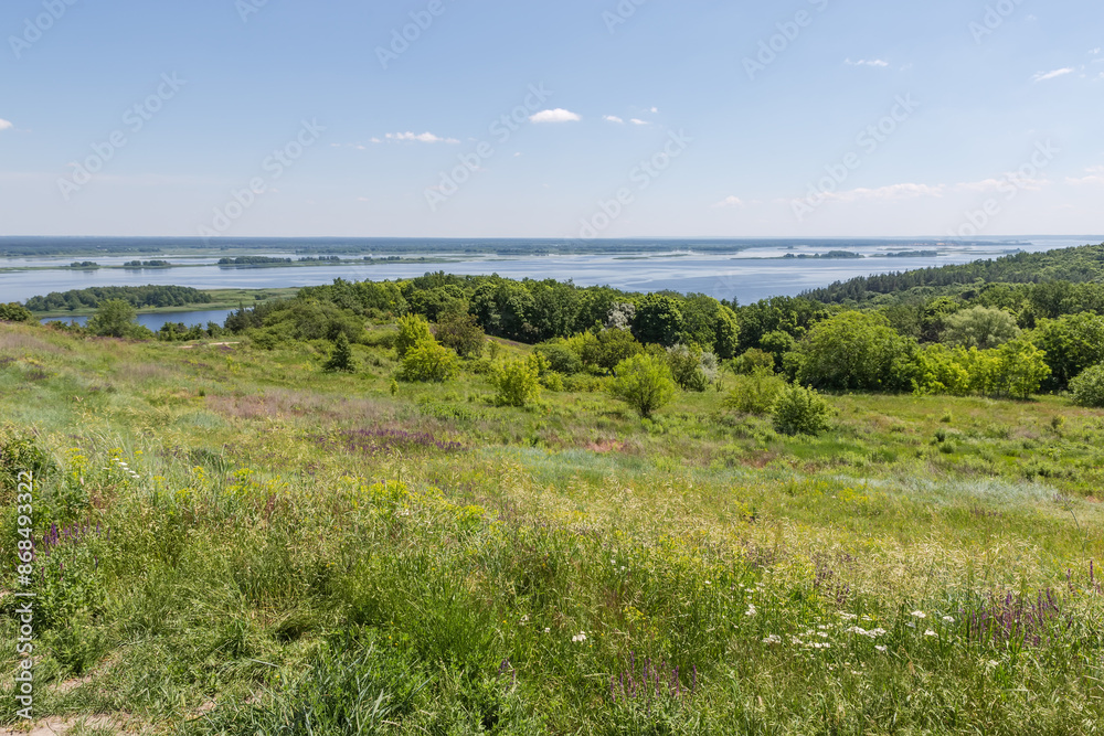 High river bank with high grass on foreground in summer High river bank with high grass on foreground in summer