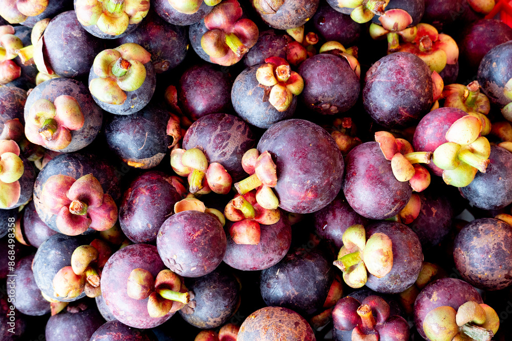 Fototapeta premium Above view of Mangosteen pile is there for trading. Mangosteen is a queen of fruits in Thailand.