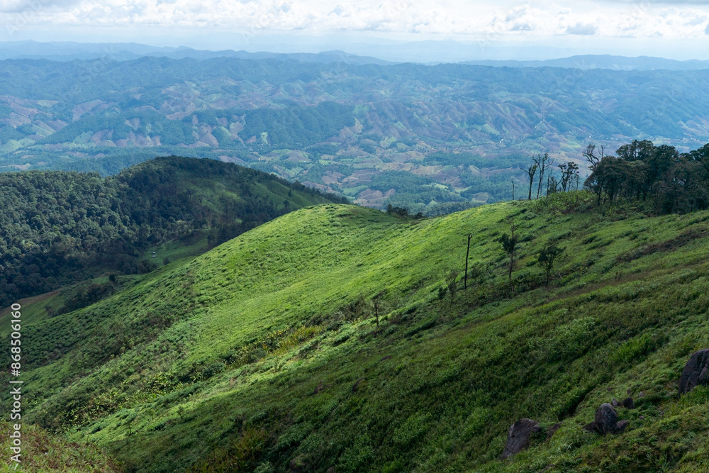 Fototapeta premium Lush green tea plantations carpet rolling hills beneath a dramatic cloudy sky in this stunning mountain landscape