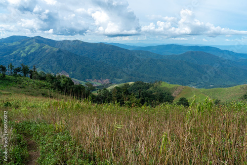 A panoramic view of lush green mountains and meadows under a clear blue sky in a summer alpine landscape