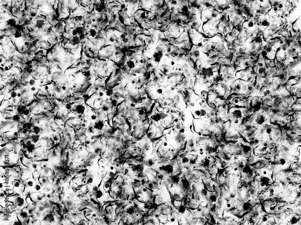 A monochromatic background with abstract black paint splatters A monochromatic background with abstract black paint splatters