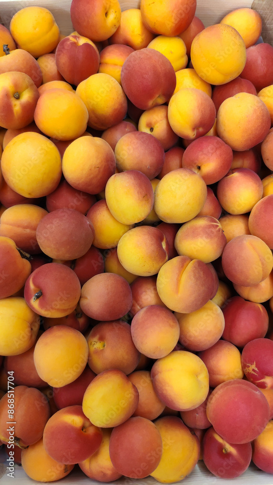 Pile of fresh apricots at the market close-up. Pile of fresh apricots at the market close-up.