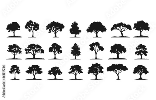 tree silhouettes vector background