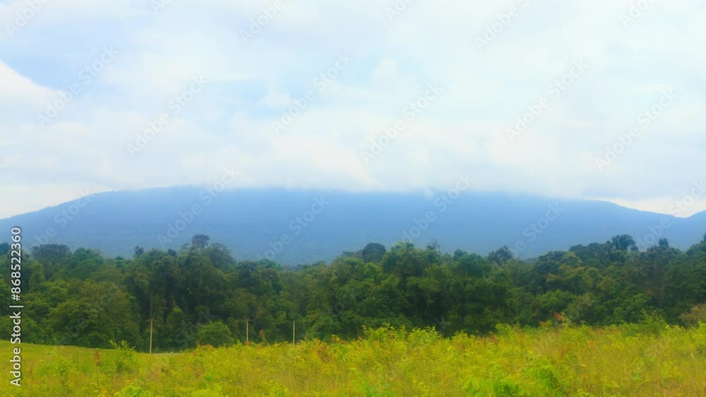 Landscape of a forest, mountain and sky with a camera's soft filter attached. 4k 3840x2160, wide shot, tilt up. can be establishing shot. Landscape of a forest, mountain and sky with a camera's soft filter attached. 4k 3840x2160, wide shot, tilt up. can be establishing shot.