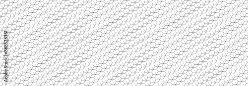 Geometric lines, alternating tile floors, Illustration, vector, Geometry, geometric, orderly arrangement background, black and white, banner, website.