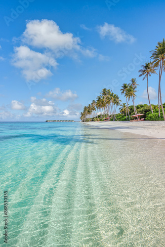 Fototapeta Naklejka Na Ścianę i Meble -  Beautiful beach nature. Coco palm trees tropical idyllic paradise island. Exotic landscape dream tranquil inspirational summer scene wallpaper. Sunny beachfront seaside amazing summer vacation tourism