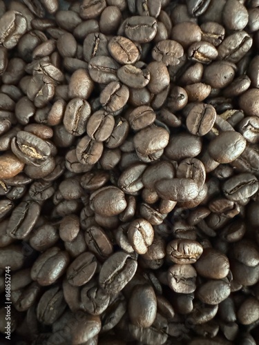 coffee beans background