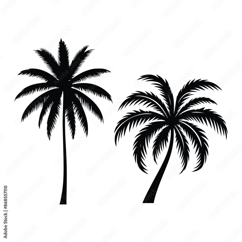Obraz premium Palm Tree Silhouette, Silhouette Palm Tree. Black palm trees set isolated on white background.