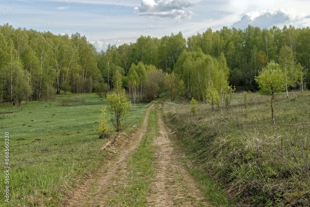 Obraz premium Forest dirt road in spring