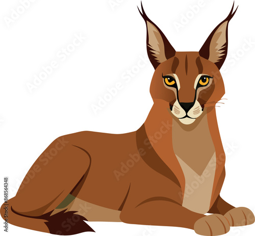 Illustrated caracal lying down on white background