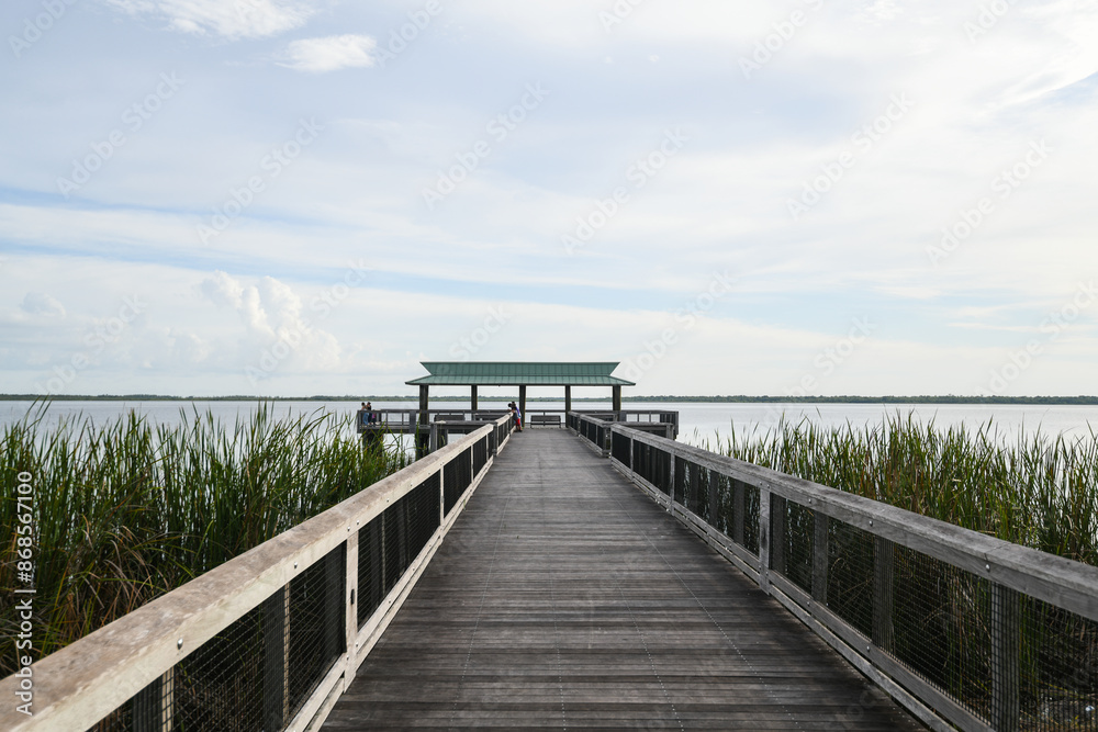 Fototapeta premium The boardwalk and dock in Lake Trafford in South Florida. A large lake with alligators and lots of wildlife and fishing.