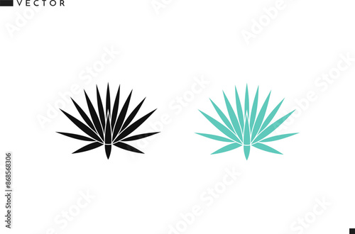 Abstract agave. Succulent plant vector 