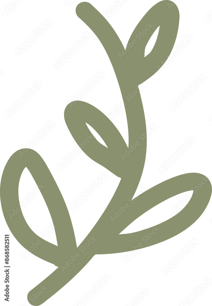 Botanical Vine, Graphic Illustration Botanical Vine, Graphic Illustration