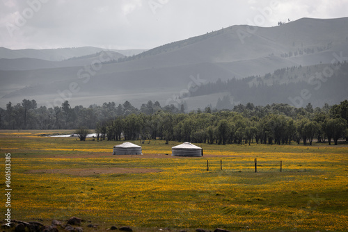 Yurts in a flower meadow in western Mongolia photo