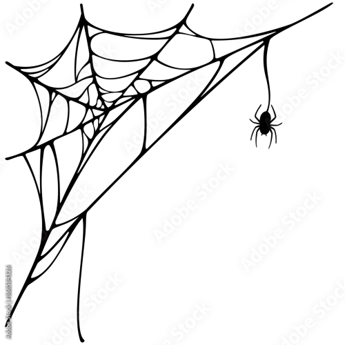 Obraz spider and web