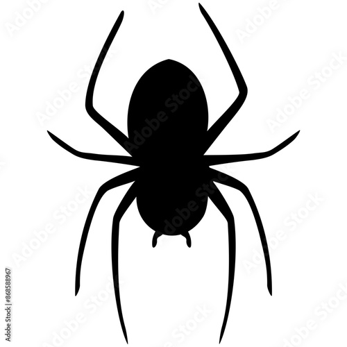 black spider silhouette