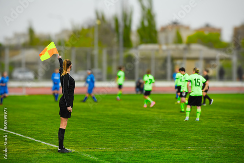 Assistant football referee and Referee's flag