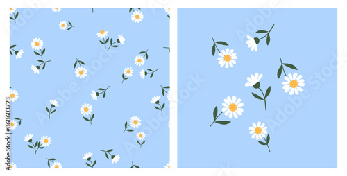 Seamless pattern of daisy chamomile flower with green leaves on blue background. Daisy icon set vector.