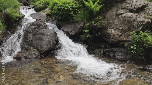Ruscello con cascate di acqua in Trentino Lagorai