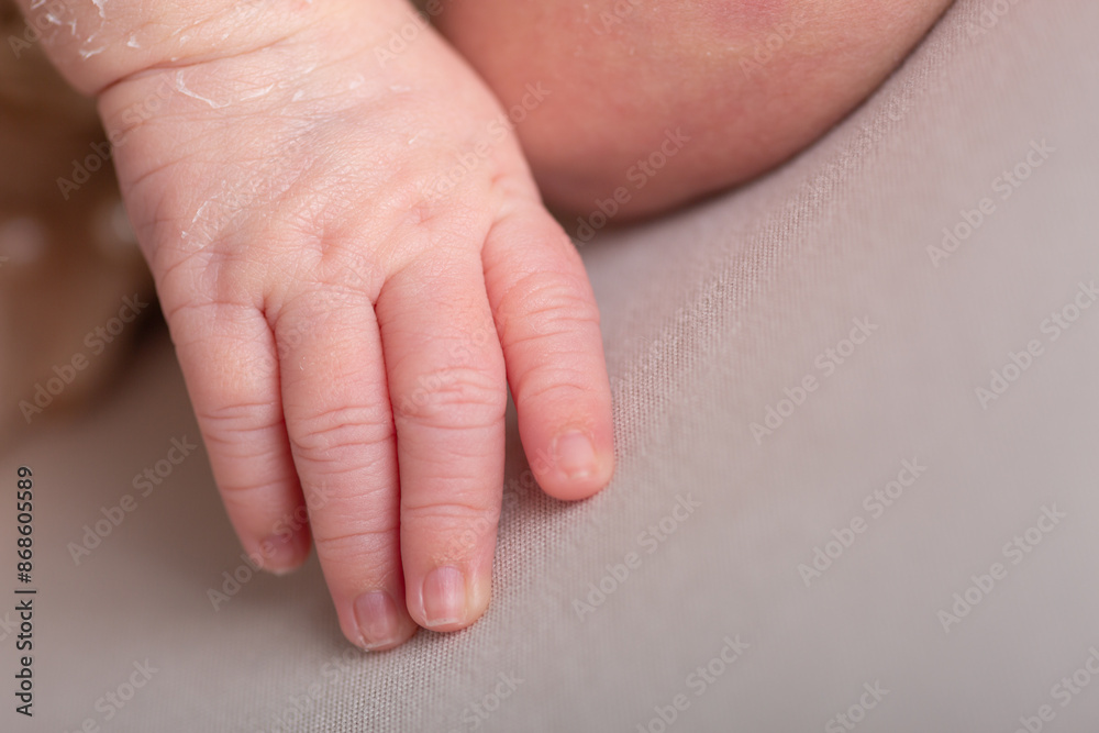 Tiny little hands newborn human baby parenting motherhood Tiny little hands newborn human baby parenting motherhood