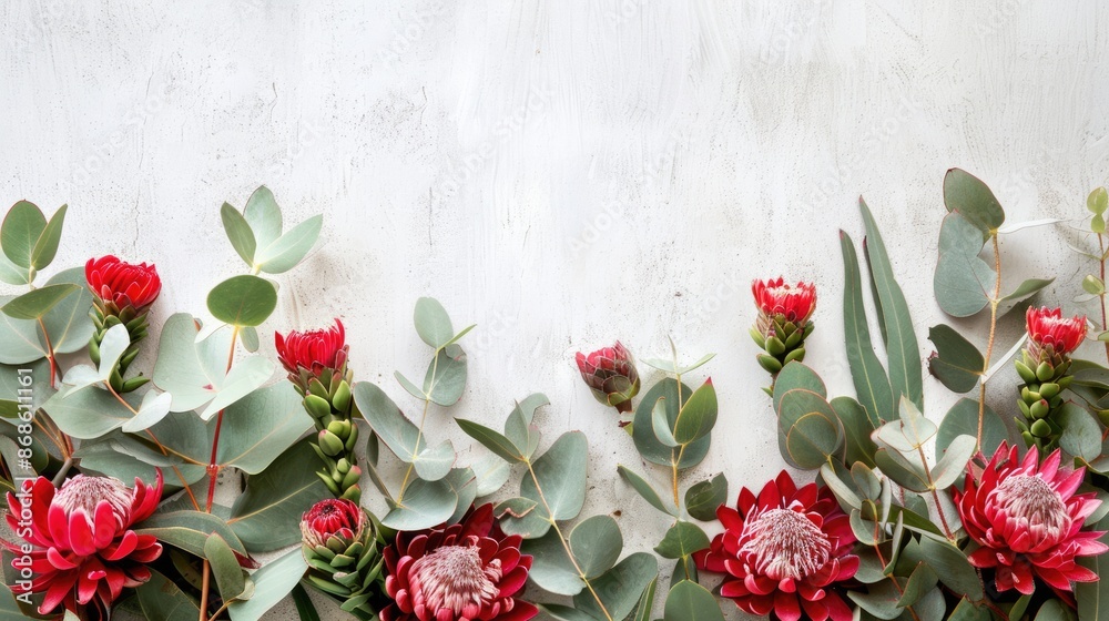 Australia Flowers. Mother's Day Border with Native Waratah and Eucalyptus Arrangement on White Background Australia Flowers. Mother's Day Border with Native Waratah and Eucalyptus Arrangement on White Background