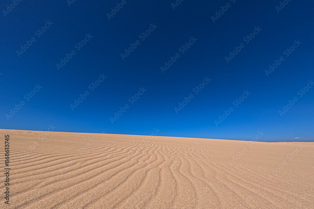 Naklejka premium Sand dune in the desert with blue sky