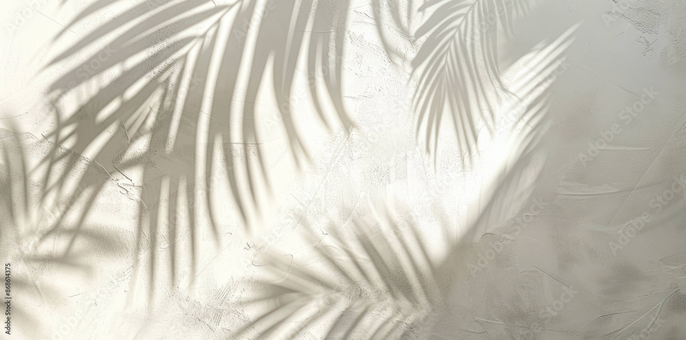 Serene Palm Tree Shadow on White Abstract Background in Soft Beige and Gray - Flat Lay Composition with Blurred Elements Serene Palm Tree Shadow on White Abstract Background in Soft Beige and Gray - Flat Lay Composition with Blurred Elements