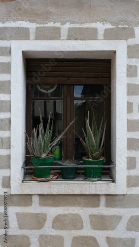 Façade of a house in a rural area. Window with plants.