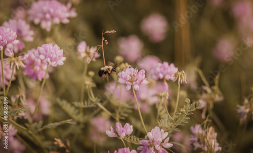 Wildflowers with a Bee Flying 