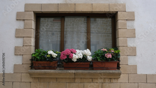 Façade of a house in a rural area. Window with plants.