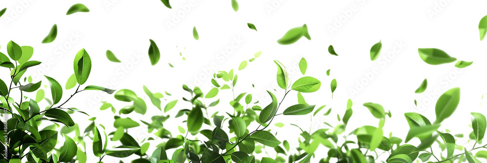 Green Leaves Falling Illustration Green Leaves Falling Illustration