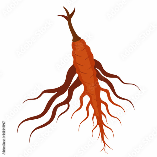 A carrot with roots on white background with marine invertebrates