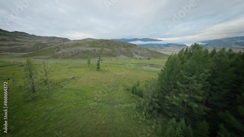 A FPV copter flies near a forest in a mountainous area. Snowy mountains and a river in the background, cloudy weather.