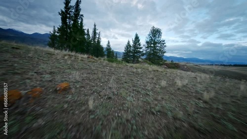 The FPV copter flies fast at low altitude over the hills. Cloudy evening weather in the mountainous area. Snowy mountains in background