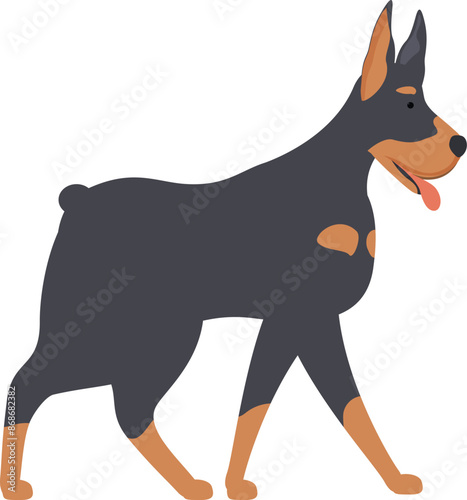 Illustration of a doberman pinscher walking with its tongue out