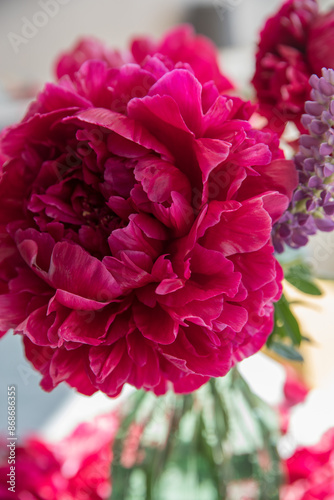 Fototapeta Naklejka Na Ścianę i Meble -  Large red peonies in a vase on the table at home