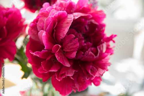 Fototapeta Naklejka Na Ścianę i Meble -  Large red peonies in a vase on the table at home