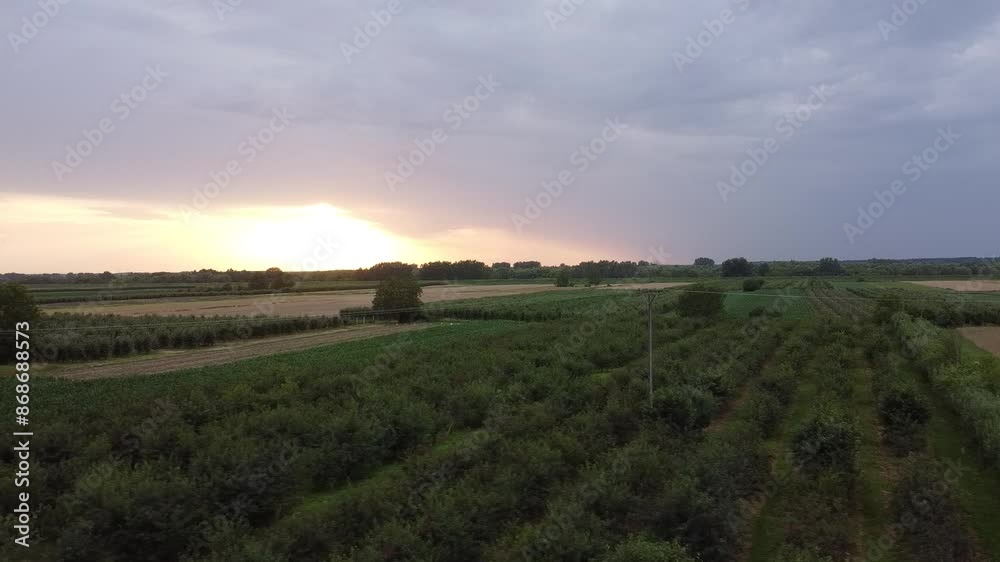 Sunset over small orchard