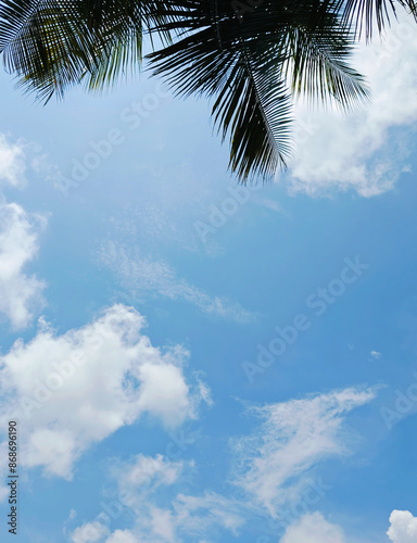 Blue Sky with Clouds and Palm Tree